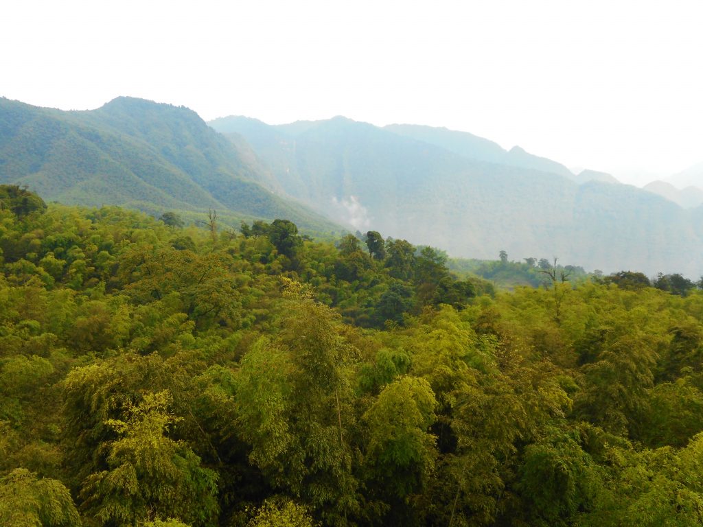 Bamboo for Livelihood – from SMEs to Eco-tourism | International Bamboo and  Rattan Organization