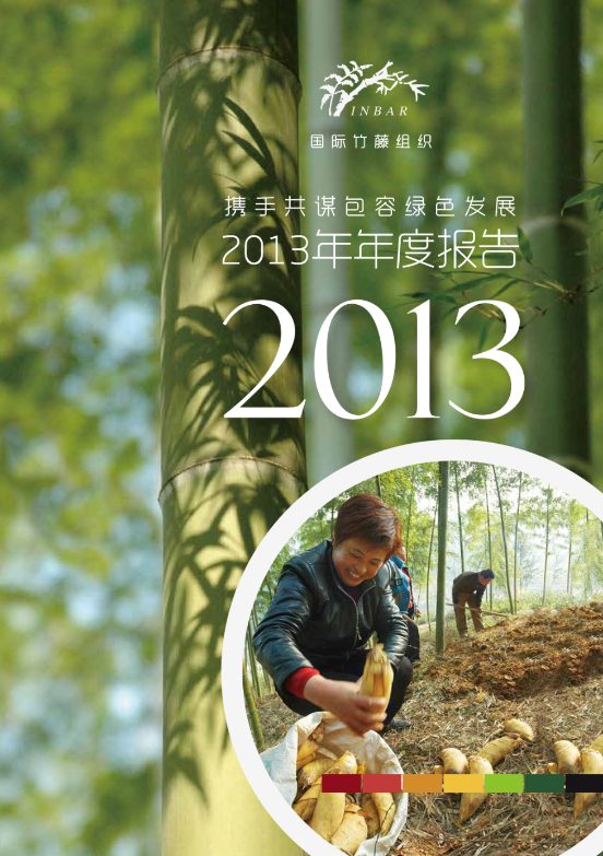 携手共谋包容绿色发展 2013年年度报告