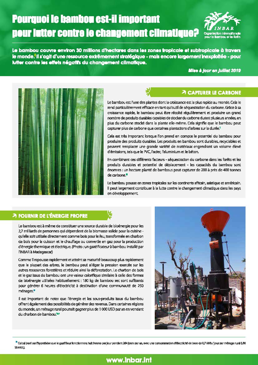 Pourquoi le bambou est-il important pour lutter contre le changement climatique? – Fiche descriptive