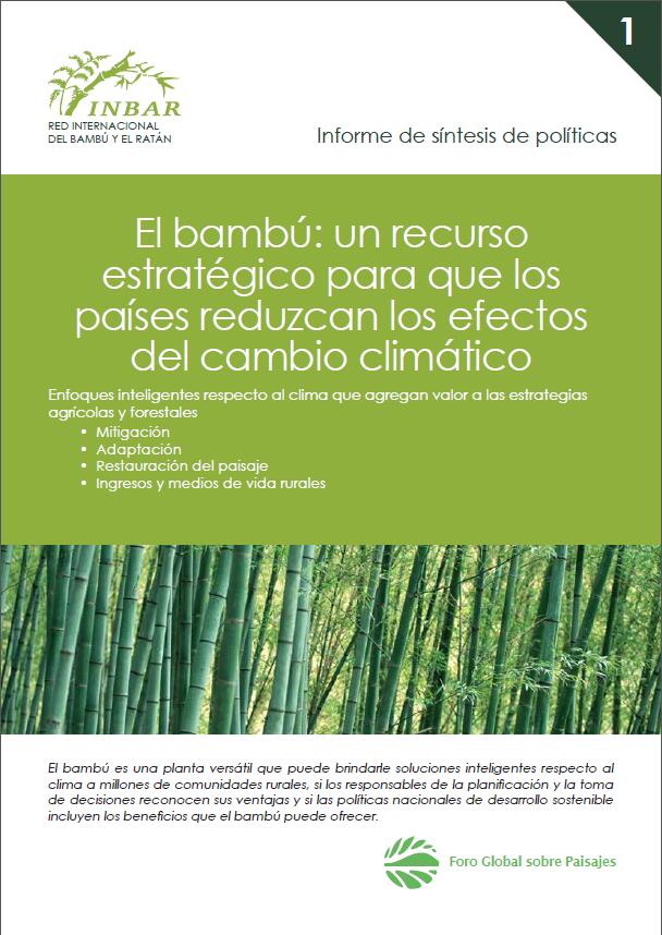 El bambú: un recurso estratégico para que los países reduzcan los efectos del cambio climático