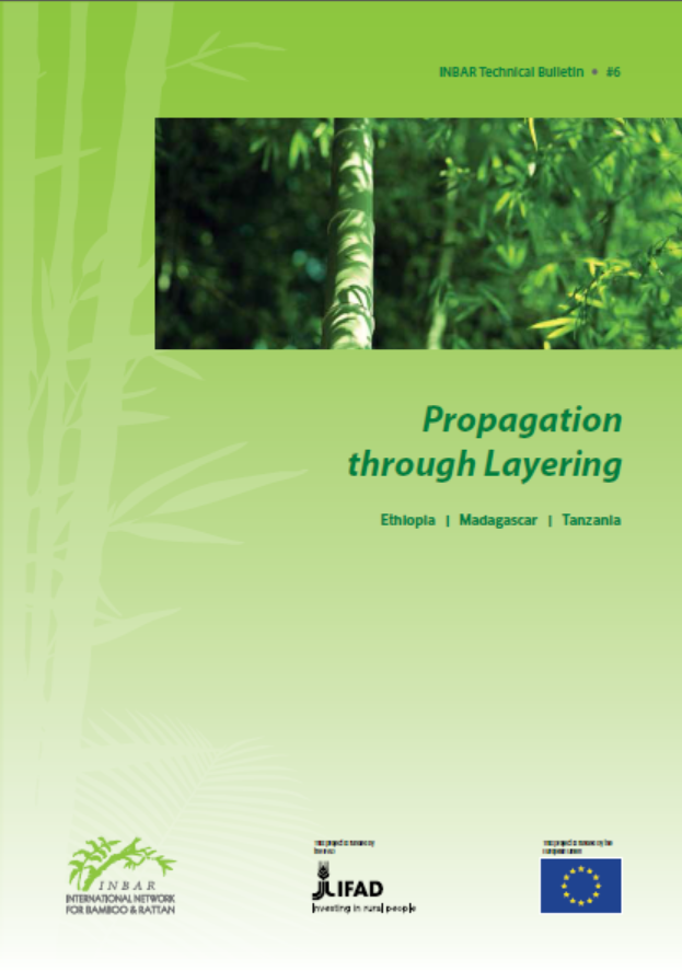 South-South Technical Bulletin: Propagating Bamboo through Layering