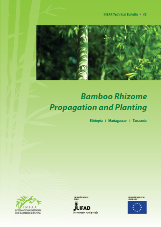 South-South Technical Bulletin: Bamboo Rhizome Propagation and Planting