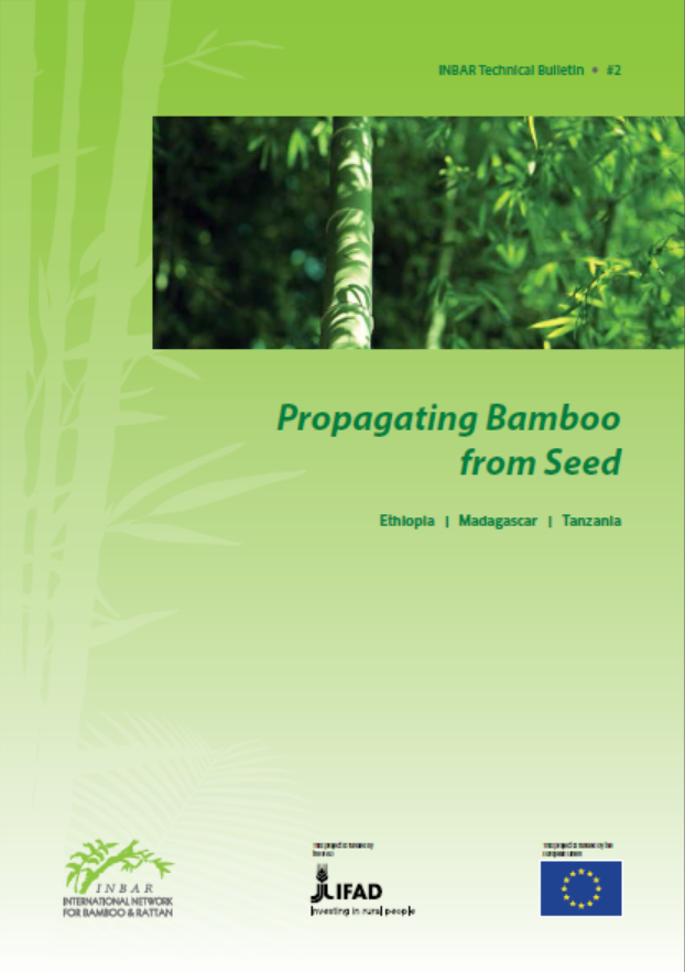 South-South Technical Bulletin: Propagating Bamboo from Seed