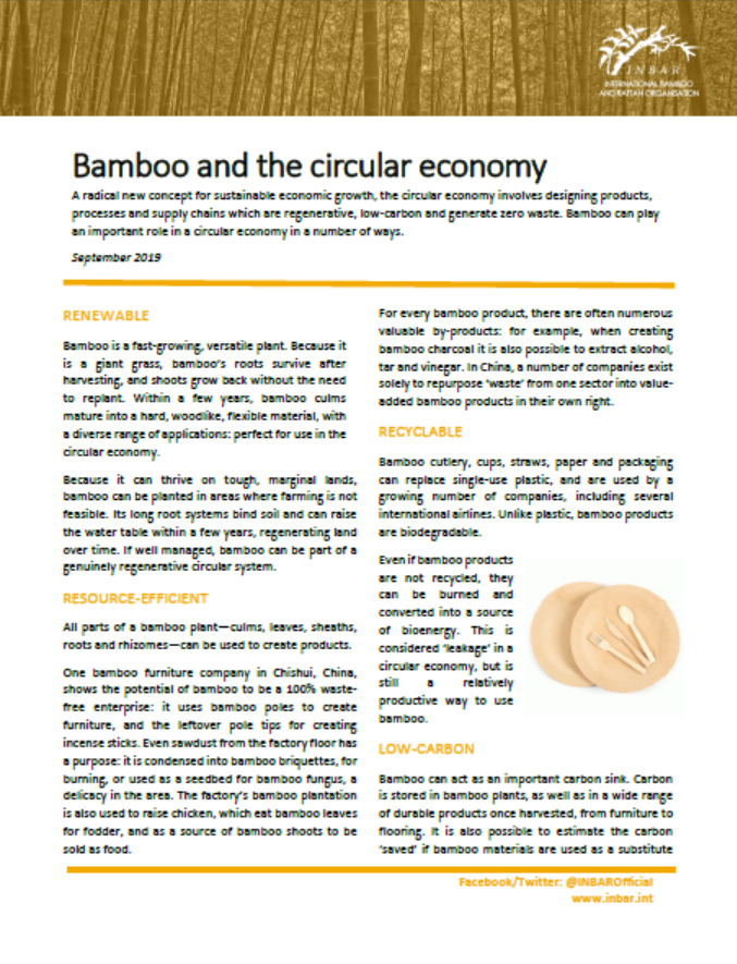 Bamboo and the Circular Economy: Fact Sheet