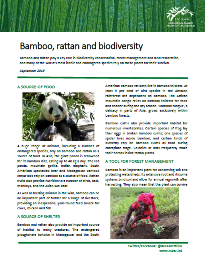 Bamboo, Rattan and Biodiversity: Fact Sheet
