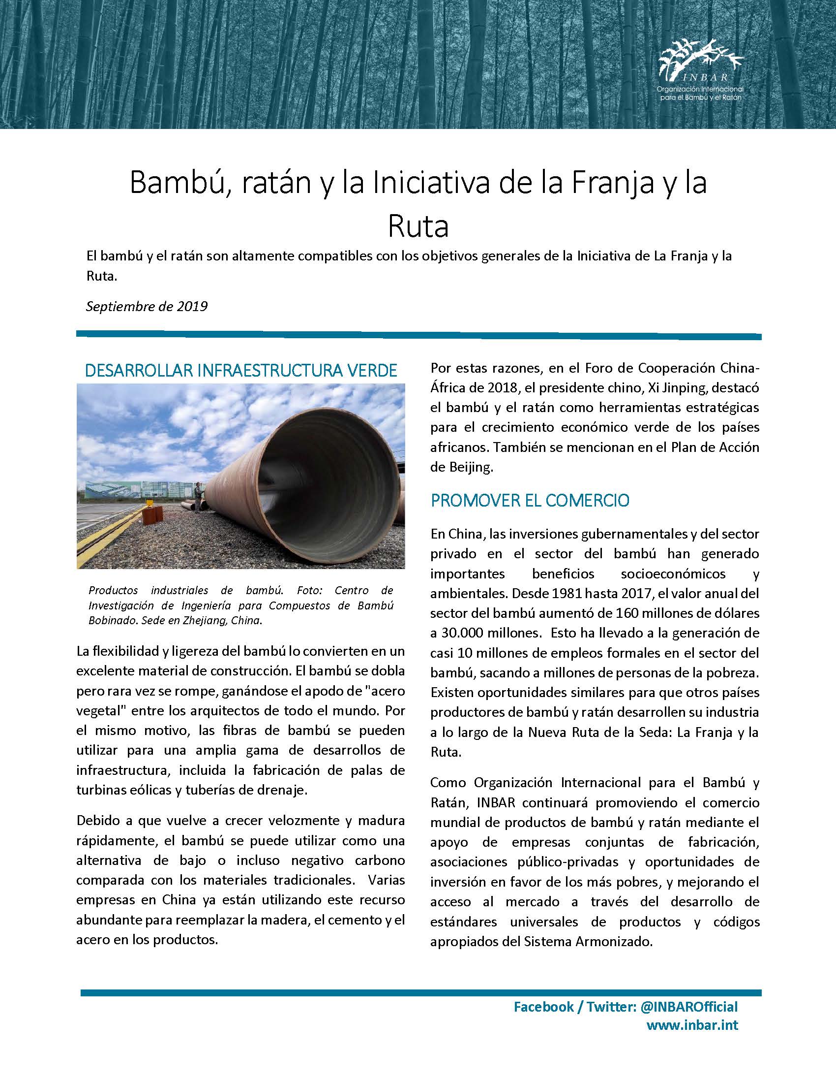 El bambú y la Iniciativa de la La Franja y la Ruta – hoja informativa