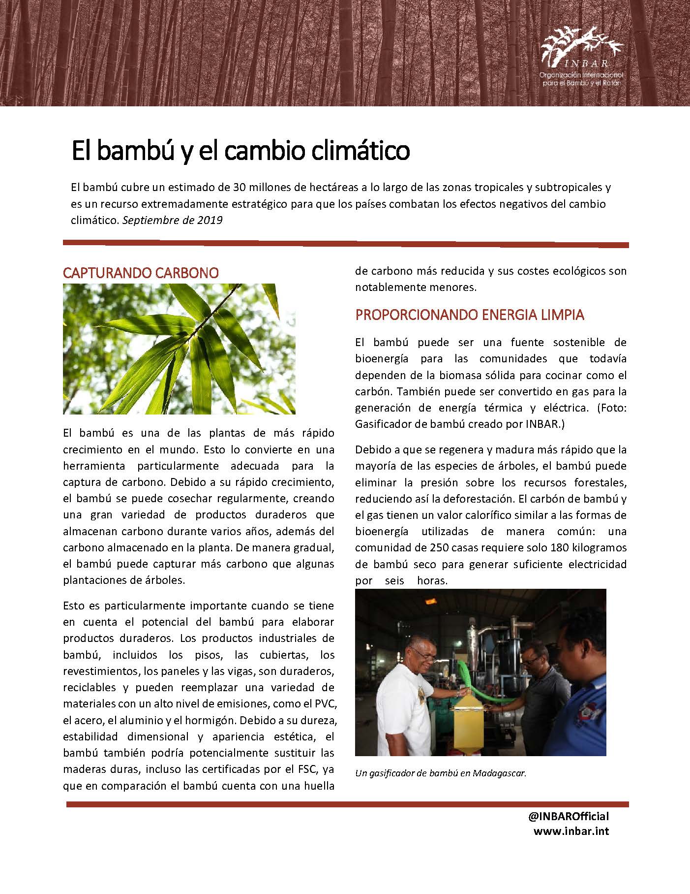 El bambú y el cambio climático – Hoja informativa