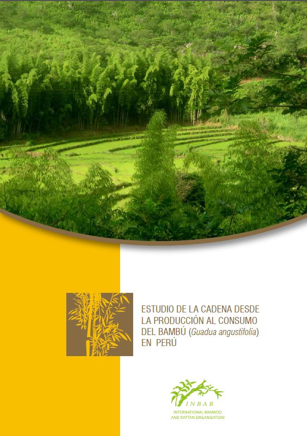 Estudio de la cadena desde la produccion al consumo del bambu (Guadua angustifolia) en  Perú