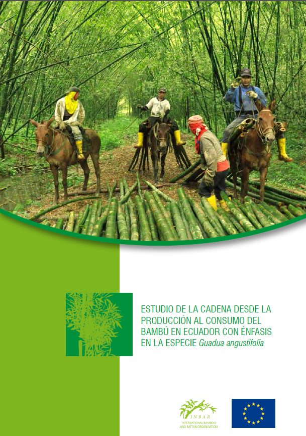Estudio de la cadena desde la producción al consumo del bambú en Ecuador con énfasis en la especie Guadua angustifolia