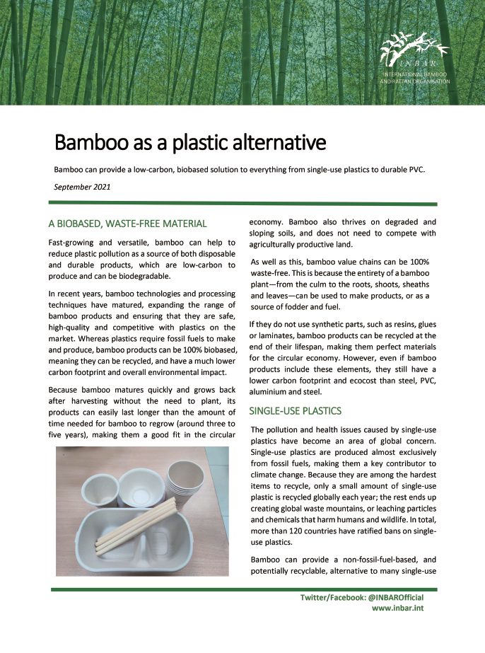 Bamboo as a Plastic Alternative: Fact Sheet