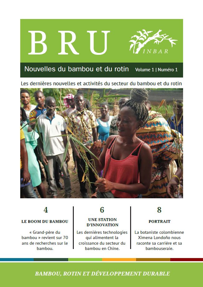 Nouvelles du bambou et du rotin Volume 1 Numéro 1: Bambou, rotin et développement durable