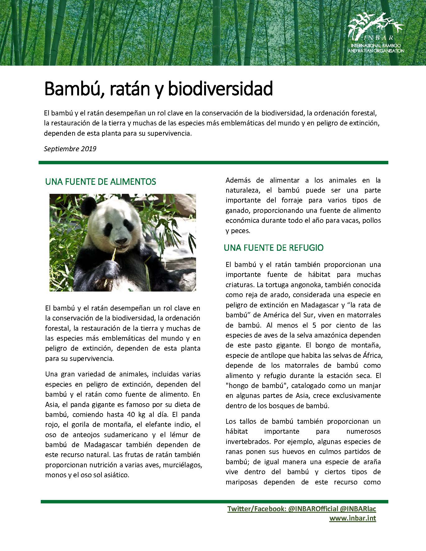 Bambú, ratán y biodiversidad: Hoja Informativa