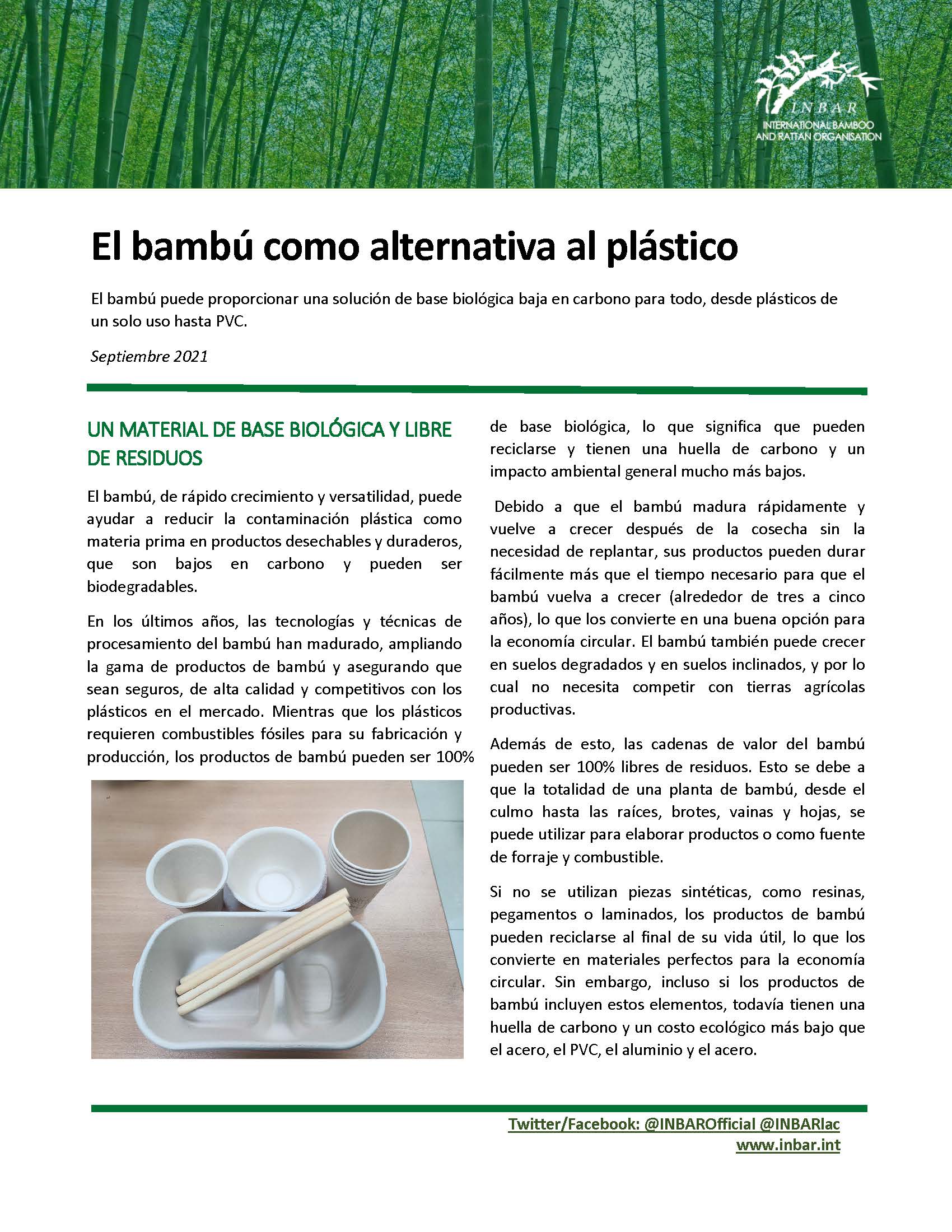 El bambú como alternativa al plástico: Hoja Informativa