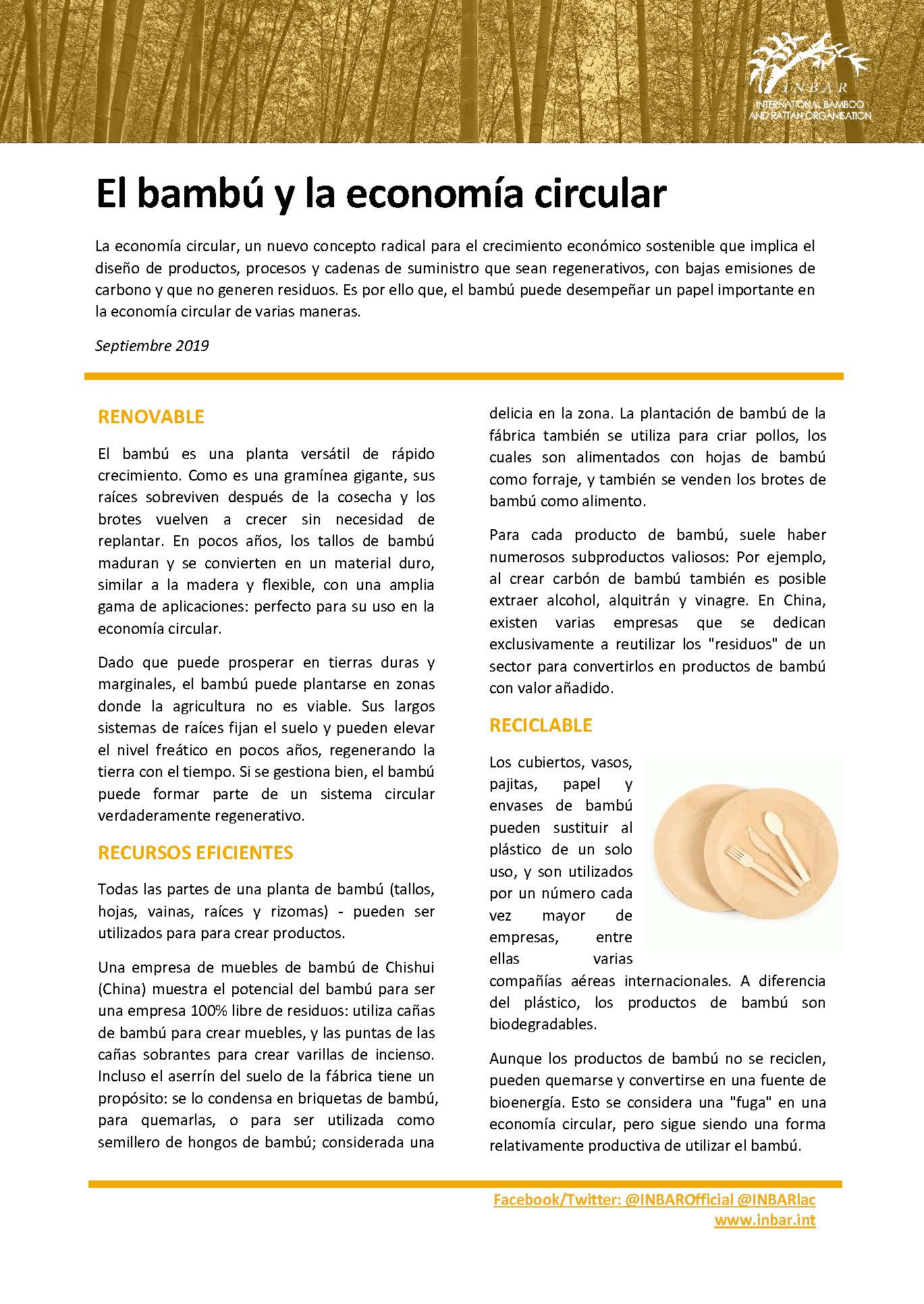 El bambú y la economía circular: Hoja Informativa