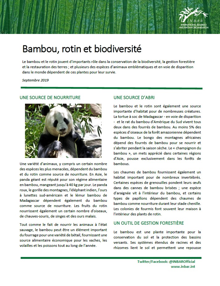 Bambou, rotin et biodiversité: Fiche descriptive