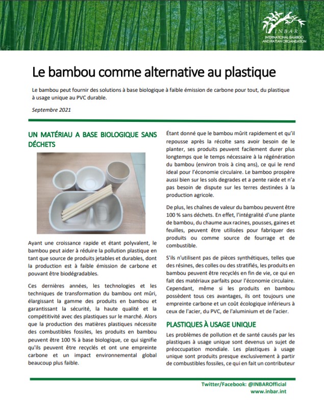 Le bambou comme alternative au plastique: Fiche descriptive