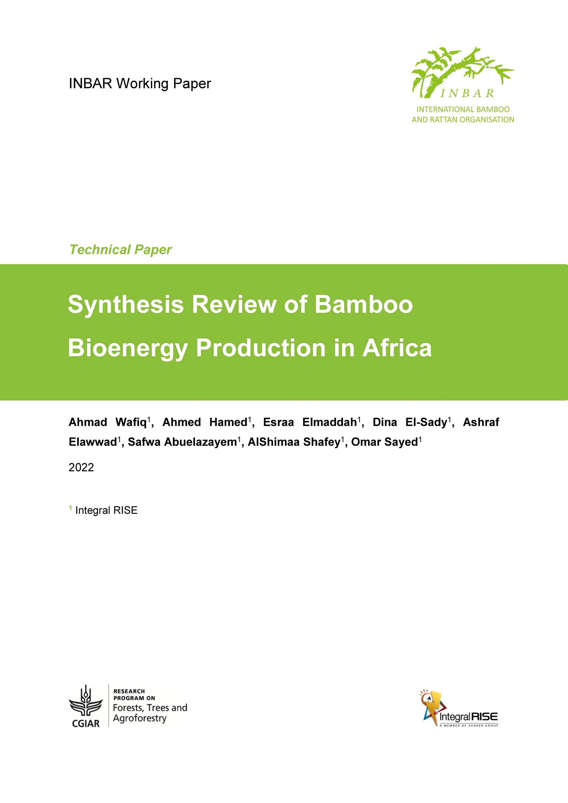 Synthesis Review of Bamboo Bioenergy Production in Africa