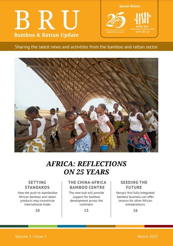 Africa: Reflections on 25 Years: Bamboo and Rattan Update – Volume 3 Issue 1