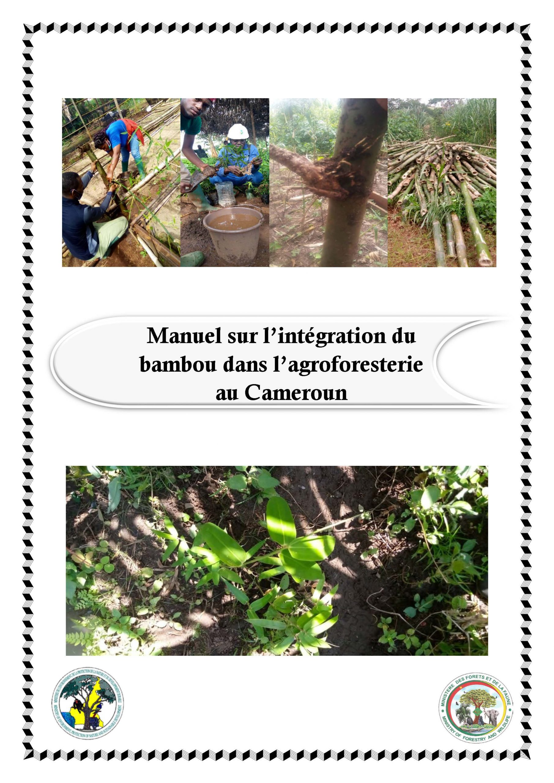 Manuel sur l’intégration du bambou dans l’agroforesterie au Cameroun