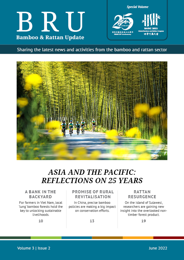 Asia and the Pacific: Reflections on 25 Years: Bamboo and Rattan Update – Volume 3 Issue 2