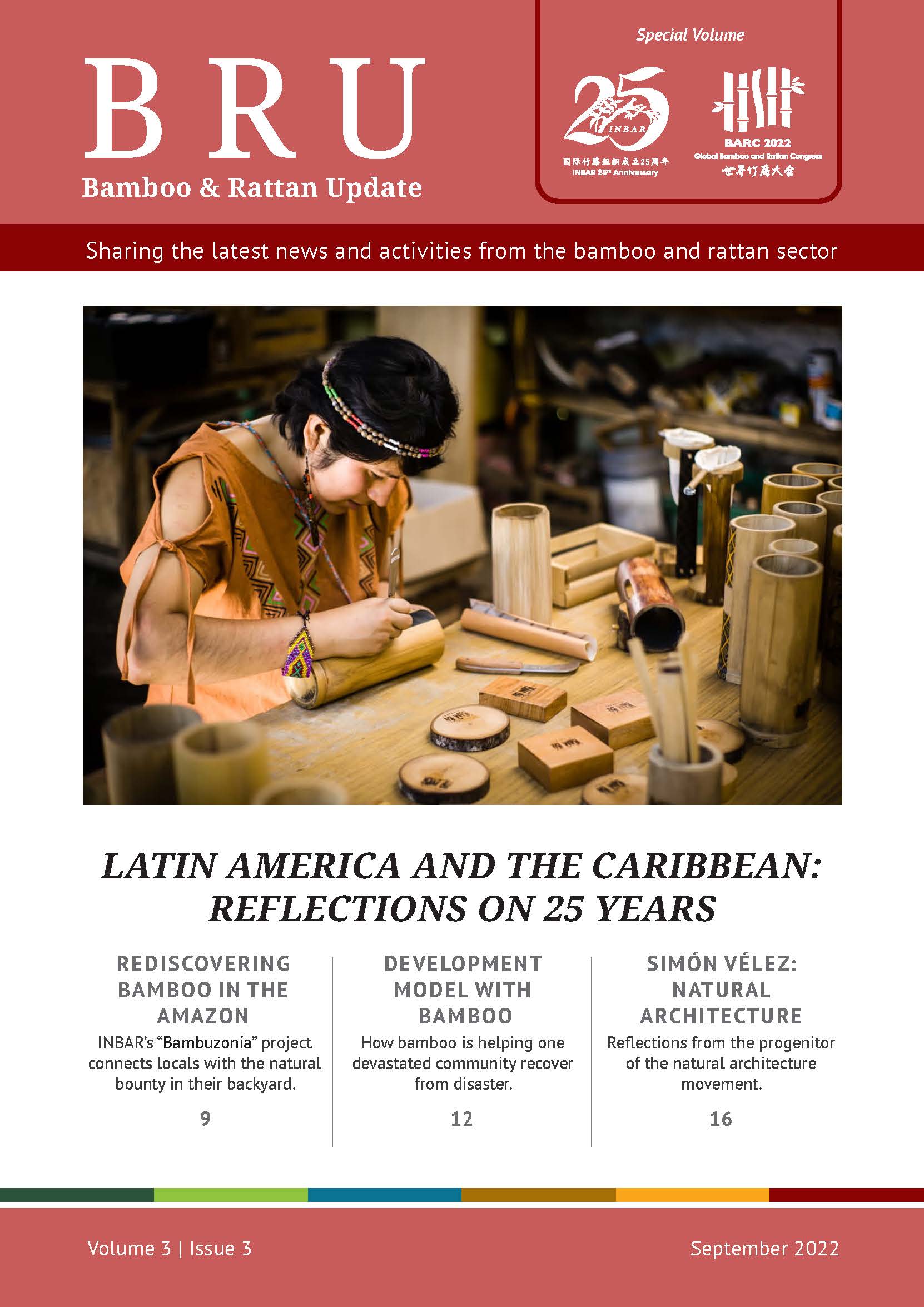 Latin America and the Caribbean: Reflections on 25 Years: Bamboo and Rattan Update – Volume 3 Issue 3