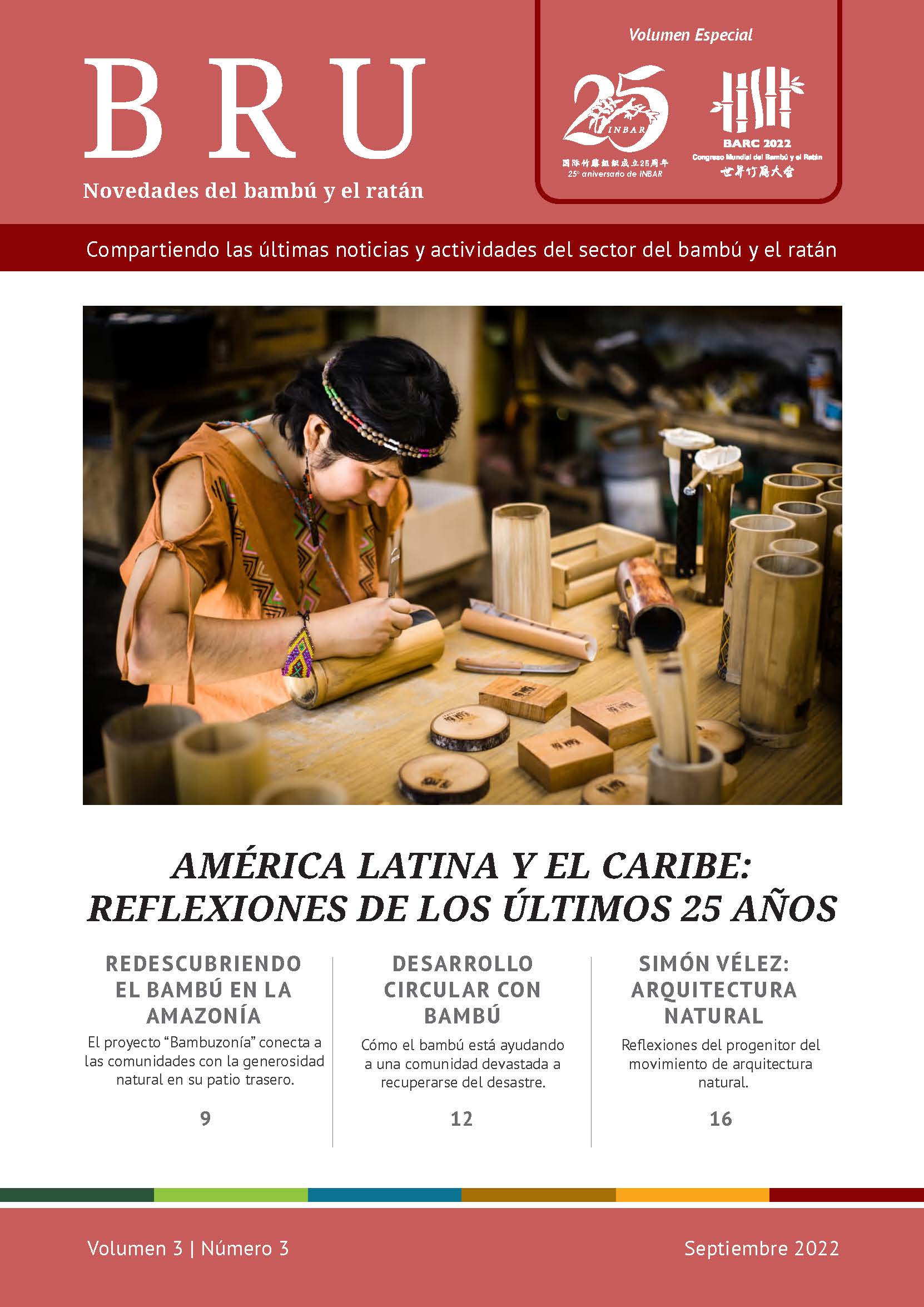 Novedades del bambú y el ratán Volumen 3 Número 3: América Latina y el Caribe: Reflexiones de los últimos 25 Años