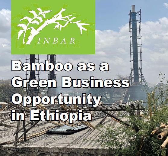 Bamboo as a Green Business Opportunity in Ethiopia