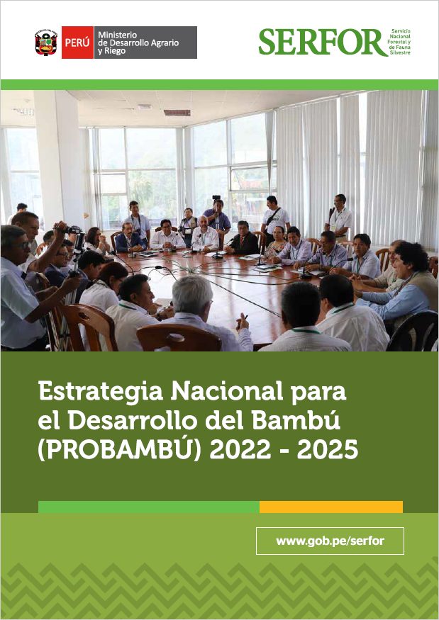 Estrategia Nacional para el Desarrollo del Bambú de Perú (PROBAMBÚ) 2022 – 2025