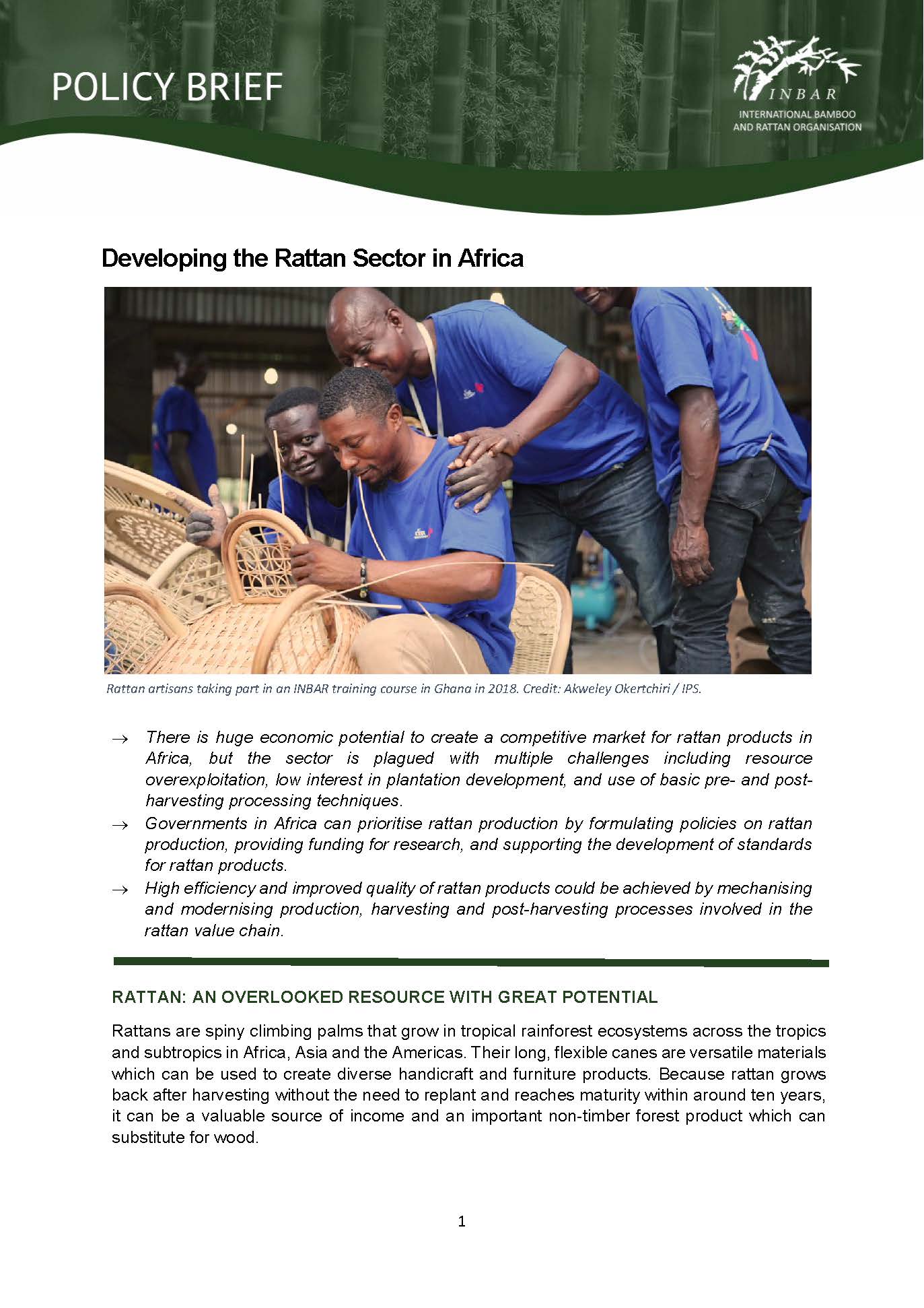 Developing the Rattan Sector in Africa